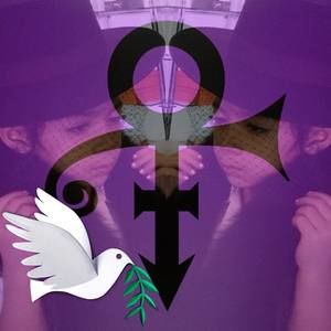 Meet your Posher, Gloria